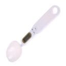 Mini Digital Spoon Scale for Culinary Precision
